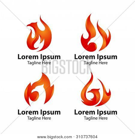 Phoenix Bird Logo Concept. Luxury Phoenix Logo, Vector Logo Bird. Creative Logo For Mythological Bir