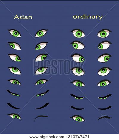 Set Of Female Eyes. Vector Illustration For Animation And Glamour Design. Close And Open Woman Eyes