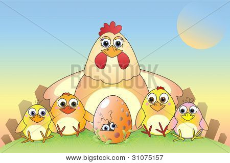 Pollo