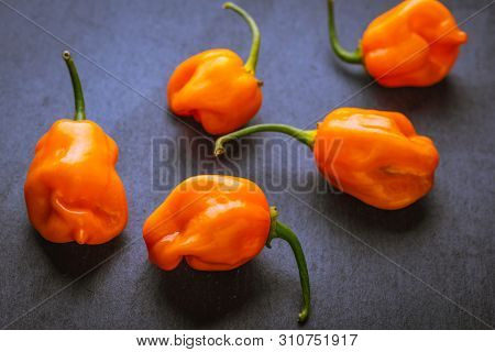 Close Up Grouping Of Raw Orange Habaneros On A Slate Surface