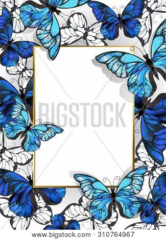 Rectangular Banner With Gold Frame And Blue, Realistic, Butterflies Morpho On A Light Background. De