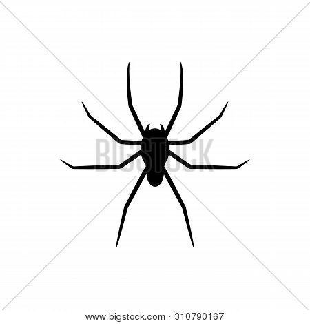 Black Silhouette Of Spider Isolated On White Background. Halloween Decorative Element. Vector Illust
