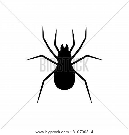 Black Silhouette Of Spider Isolated On White Background. Halloween Decorative Element. Vector Illust