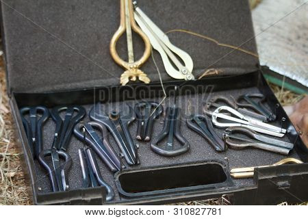 Close-up Of A Lot Of Jaw Harps, Khomuses, Folk Musical Instruments, Selective Focus