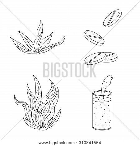 Vector Design Of Food And Vegan Symbol. Set Of Food And Weed Vector Icon For Stock.