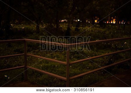 Metal Fence And Blur Background Nature Firefly Flying In Forest At Dusk, Prachin Buri, Thailand