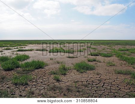 Cracked Mud And Typical Vegetation On Tidal Wetland On The Sefton Coast On The Ribble Estuary Near S