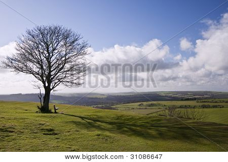 einzigen Baum auf HÃ¼gel gegen beeindruckende pulsierende blauer Himmel und Wolken