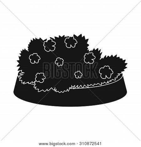 Isolated Object Of Flowerbed And Garden Symbol. Set Of Flowerbed And Bush Stock Vector Illustration.