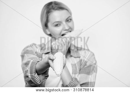 Corn Crop. Vitamin And Dieting Food. Farming, Farmer Girl With Maize. Happy Woman Eating Corn. Veget