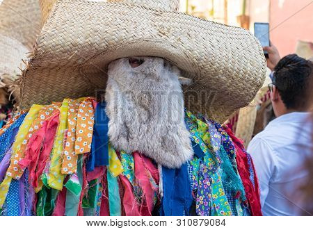 Oaxaca, Oaxaca, Mexico- July 6, 2019: Man Dressed As Tiliche, Traditional Costume From Putla, Oaxaca