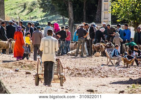 Azrou, Morocco - October 15, 2013. People Selling And Buying Sheep For Islamic Festival Eid Al Adha