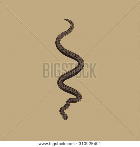 Brown Python Vector Illustration. Isolated Tropical Snake