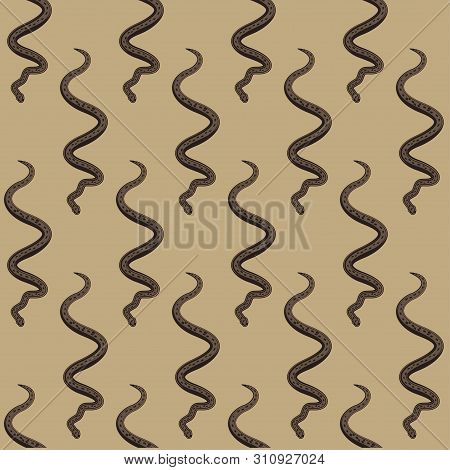 Seamless Pattern With Various Snakes Or Serpents On Light Background. Backdrop With Dangerous Exotic