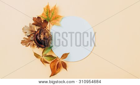 Autumn Greeting Card. White Mockup Circle Paper With Fall Leaves And Chestnut Decor On Pale Peach Ba