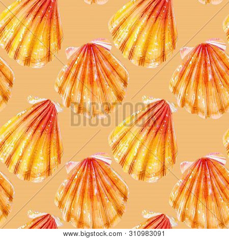Seamless Pattern Of Yellow Scallops. Beige Bivalve Mollusk Pectinidae On A Beige Background. Nature 