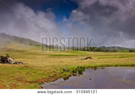 Some Clouds Are Coming Up The Hill To The Grassland Of Madeira