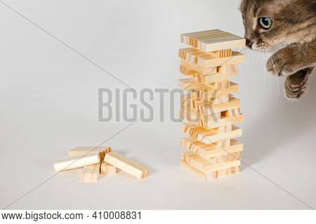 Wooden Board Game In Which Agility And Balance Are Important On A White Background. The Gray Cat Pla