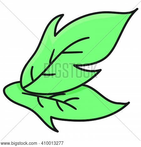 Spring Foliage. Doodle Icon Image. Cartoon Caharacter Cute Doodle Draw