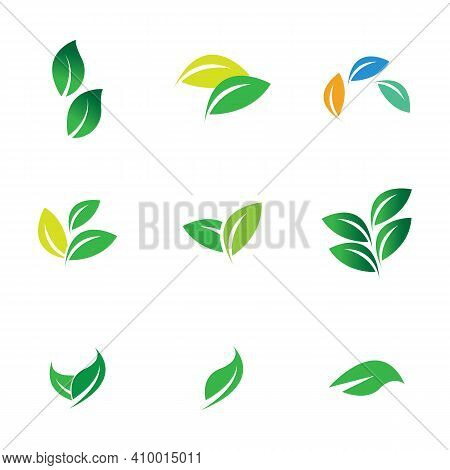 Leaf