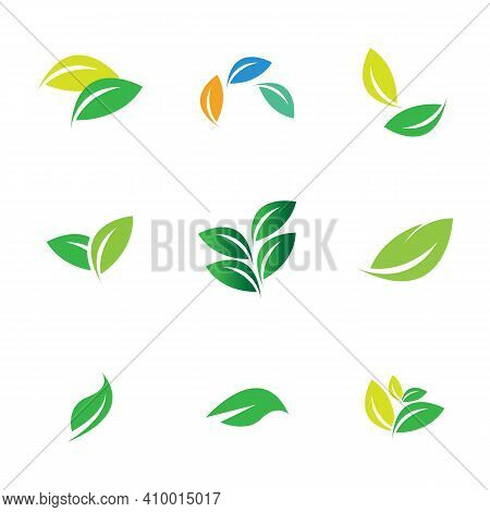 Leaf