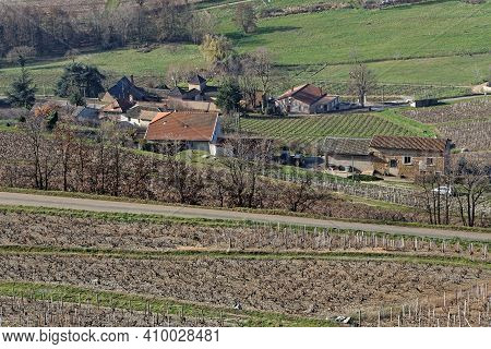Landscape Of Vineyards Around Brouilly, A Famous Beaujolais Wine