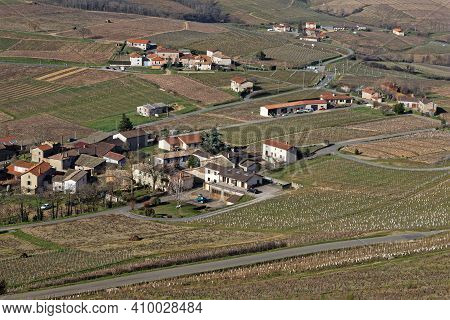 Landscape Of Vineyards Around Brouilly, A Famous Beaujolais Wine