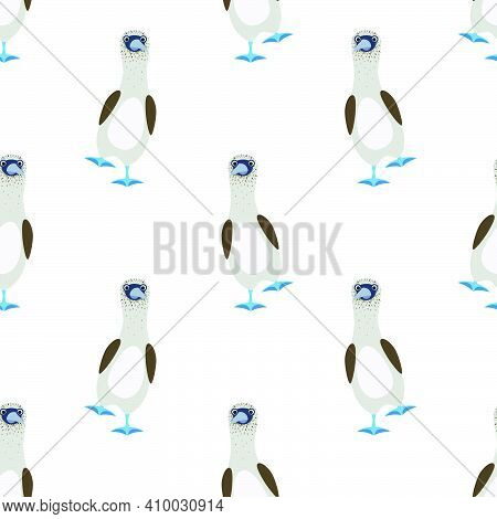 Seamless Vector Pattern Of Gannets Bird With A Blue Feet