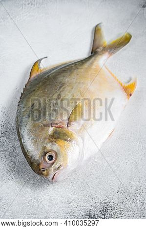 Fresh Raw Fish Pompano On Kitchen Table. White Background. Top View