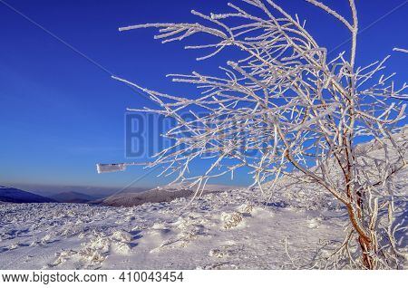 Sunny Winter Landscape At Polonyna Runa, Carpathians