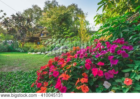 Kanchanaburi,thailand - February 19, 2021 : Beautiful Garden Decoration Of Cafe Amazon Coffee Shop A