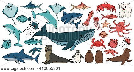 Big Set Of Vector Cartoon Outline Isolated Sea Ocean North Animals. Doodle Whale, Dolphin, Shark, St