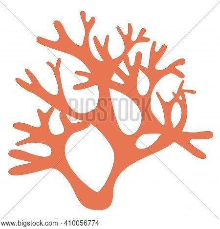 A Sprig Of Coral In Green Tones On A White Background