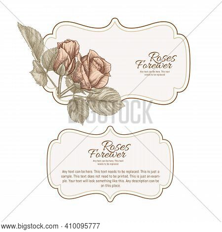 Set Of Face And Back Labels, Stickers For Food Products Or Cosmetics In Engraving, Vintage, Old, Ret