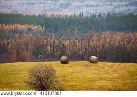 Autumn And Its Colors On The Farm In Quebec, Canada