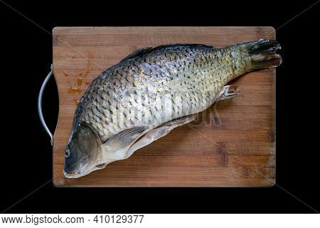 Defrosting Carp Fish On Wooden Cutting Board Isolated On Black Background. Flat Lay Or Above Looking