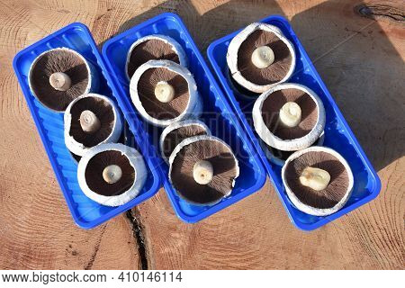 Raw Flat Mushrooms In Blue Punnets. Ready To Cook.