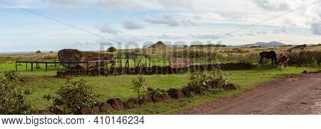 Easter Island Landscape. Te Ara O Te Moai Near Ranu Raraku