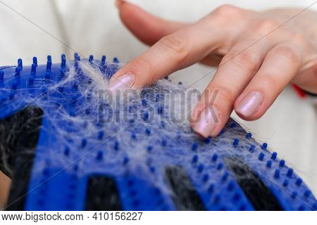 Girl With Cat Shedding, Bathing, Grooming, Deshedding Glove.the Glove With Cats Hair On It. Equipmen