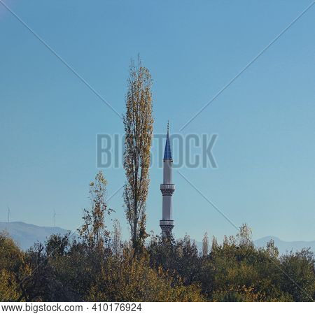 One Minaret In The Trees. Tree That Rivals The Minaret. The Minaret And The Tree Running Side By Sid