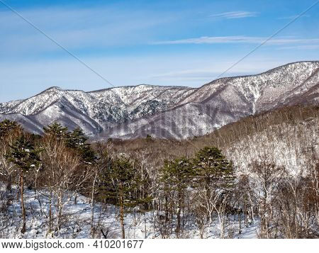 The Snow-covered Forests Of The Japanese Alps Near The Shiga Kogen Ski Area In Nagano Prefecture, Ja