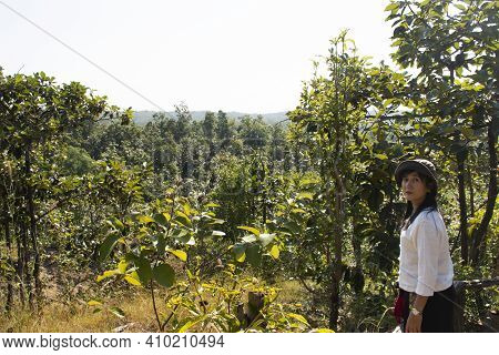 Travelers Thai Women People Walking Travel Visit Pha Chor Canyon Cliffs And Trekking Hiking On Natur