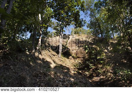 Pathway In Jungle For Thai People And Foreign Walking And Trekking Travel Visit Pha Chor Canyon Clif