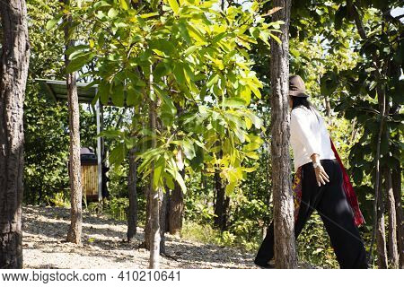 Travelers Thai Women People Walking Travel Visit Pha Chor Canyon Cliffs And Trekking Hiking On Natur