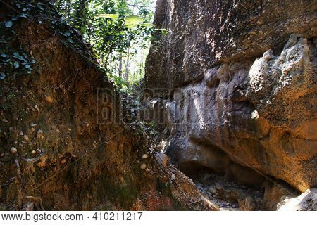 Pathway In Jungle For Thai People And Foreign Walking And Trekking Travel Visit Pha Chor Canyon Clif