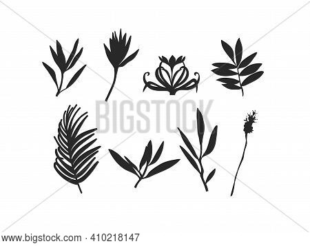 Hand Drawn Vector Abstract Stock Flat Graphic Illustration Collection Set With Logo Elements Of Bran