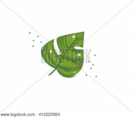 Hand Drawn Vector Stock Abstract Flat Cartoon Graphic Illustration With Tropical Palm Leaf Isolated 