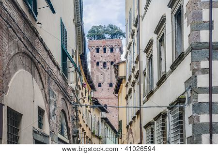 Torre Guinigi Lucca, Italia muurien sisäpuolella.