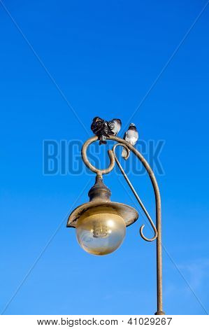 Tre piccioni seduto sulla lampada
