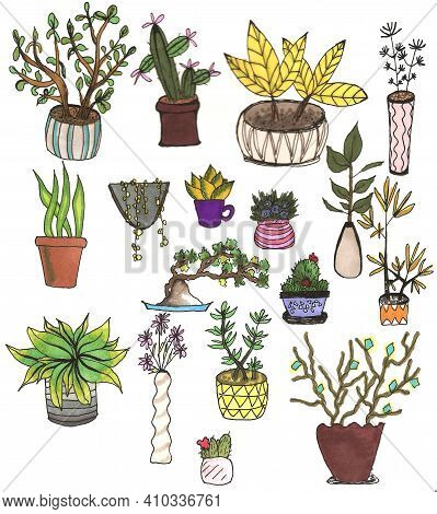Plant In Flower Pot On White Background